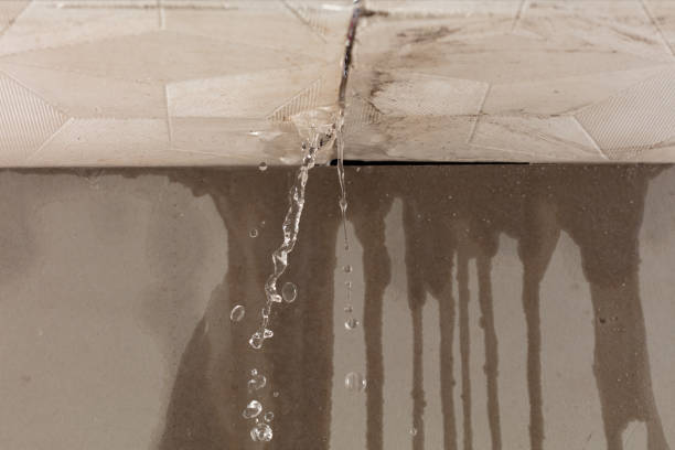 Professional Structural Drying technician working in Providence, RI